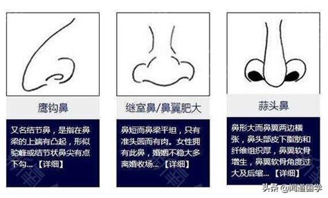 沒鼻樑面相|鼻樑低的面相解析